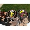 Image 2 : Assorted Flower Pots (WITH CONTENTS), Planters, and Lawn Decorations