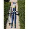 Image 1 : Passavant Glass-1 215 cm Cross Country Skis, w/ Ski Poles and Shoes (Size 8)