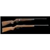 Image 1 : JC HIGGINS 103.18 & WESTERNFIELD 32 BOLT ACTION