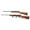 Image 2 : 2 MOSSBERG RIMFIRE SINGLE SHOT BOLT ACTION RIFLES.
