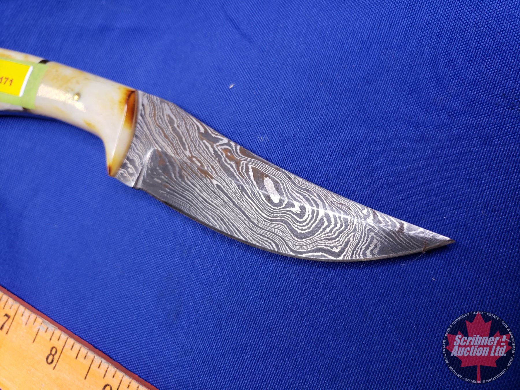 Damascus Trailing Point Knife (Bone & Brass Handle) (Leather Sheath) (4 ...