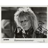 Image 1 : David Bowie Signed Photograph