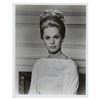 Image 1 : Tippi Hedren (3) Signed Photographs