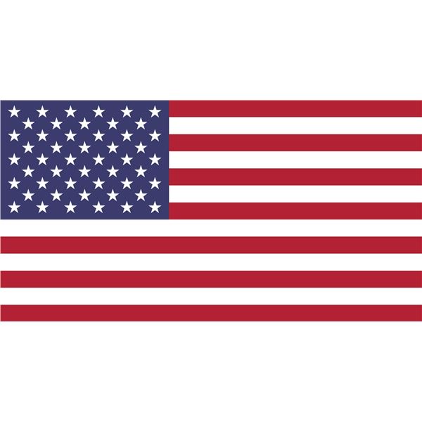 USA/INTERNATIONAL BIDDER PLEASE READ
