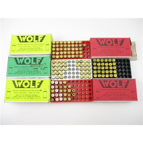 RELOADED 9MM PARABELLUM AMMO LOT