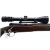 Image 3 : 7/10, WINCHESTER, MODEL: 70 PRE 64, CALIBER: 30 GOVT 06
