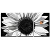 Image 1 : NEW BLACK & WHITE SUNFLOWER 3PC WALL ART 16 X 24"