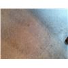 Image 6 : Wool Rug Cat C
