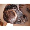 Image 10 : Furs by G.L. Pop Beaver Jacket & Hat Cat A