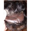 Image 12 : Furs by G.L. Pop Beaver Jacket & Hat Cat A