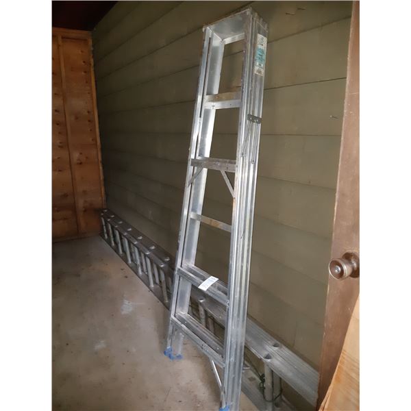 24" Extension Ladder & Step Ladder Cat C