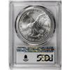 Image 2 : 2021-(S) Type 2 $1 American Silver Eagle Coin PCGS MS69 First Strike Emergency Issue