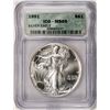 Image 1 : 1991 American Silver Eagle Coin ICG MS69