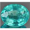 1.09ct RARE Delightful Natural Paraiba Color Apatite Gem VS RETAIL $850 (GEM-7026)