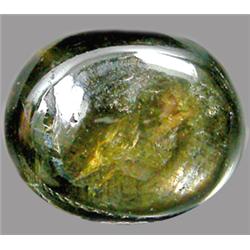 7.51ct RARE Oval Cabochon Black Star Sapphire RETAIL $3250 (GEM-7431)