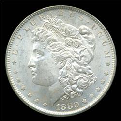 1880 Morgan Dollar Graded GEM Uncirculated Beautiful Satiny Surfaces (COI-4078)