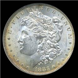 18883 Morgan Dollar Graded Choice Uncirculated (COI-4079)