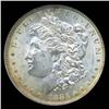 18883 Morgan Dollar Graded Choice Uncirculated (COI-4079)