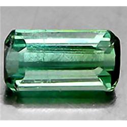 .7ct RARE Fancy Cut BiColor Paraiba Tourmaline VVS RETAIL $850 (GEM-7964A)