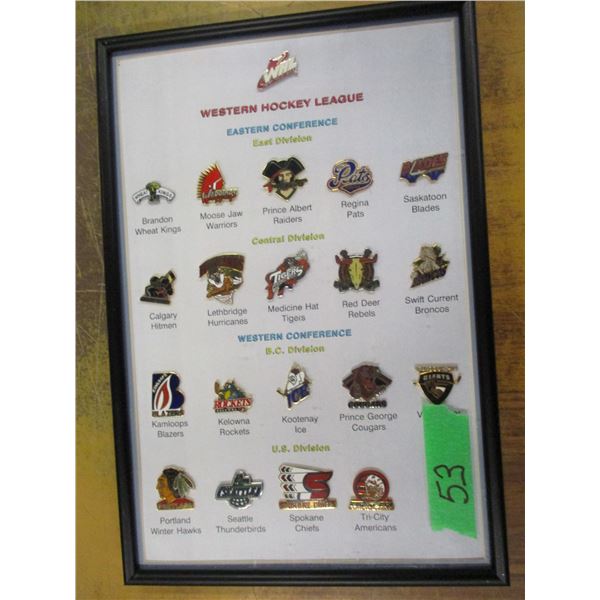 COLLECTIBLE:  FRAMED LOT OF LAPEL PINS