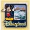 Image 2 : Disneyland Resort Photo Pin Display with Pins.