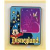 Image 3 : Disneyland Resort Photo Pin Display with Pins.