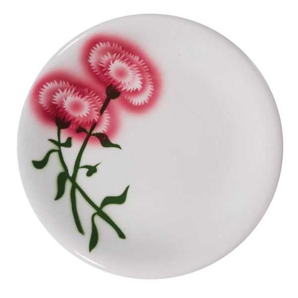 Carnation Ice Cream Parlor Restaurant Plate.