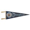 Image 3 : Pair of Disneyland Tencennial Souvenir Pennants.