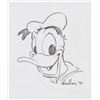 Image 2 : Donald Duck Sketch by Kevin Kidney.