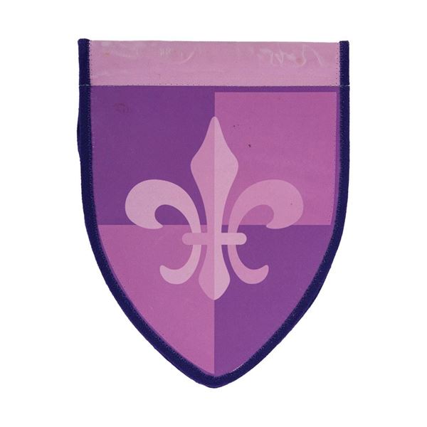 Fantasyland Crowd Control Pennant Flag.