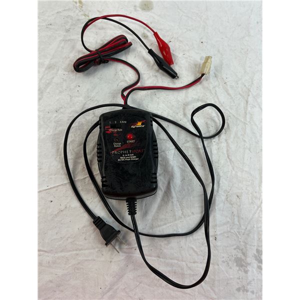 Dynamite prophet sport 4-8 cell battery charger