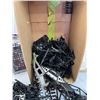 Image 7 : bulk lot of assorted Plastic RC Car components