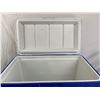 Image 10 : Coolers Lot