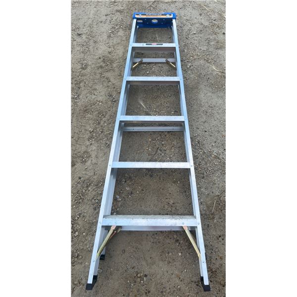 Ladders Lot