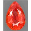 1.59ct RARE Pear Cut Orange Padparascha Sapphire Nigeria RETAIL $1600 (GEM-7367)