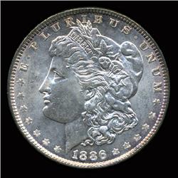 1886 Morgan Dollar Choice+ Uncirculated RARE Variety (COI-4088)