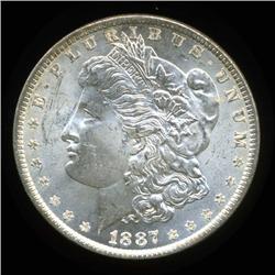 1887 Morgan Dollar Choice+ Uncirculated (COI-4091)