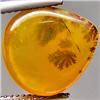 5.10ct RARE Fantastic Pear Cabochon Yellow Dendrite Moss Opal RARE $1350 (GEM-8062A)