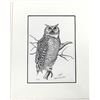 Image 1 : Signed and Numbered Owl Print by Claude Randall