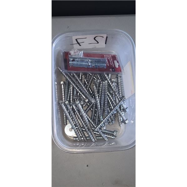 5" LAG BOLTS QTY 47