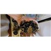 Image 8 : ELECTRICAL BATHROOM/LIGHTING HARDWARE