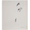 Image 1 : Emilio Greco, Ellipse, Offset Lithograph