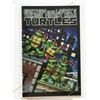 Image 1 : TEENAGE MUTANT NINJA TURTLES 2009 ERROR RECALL VARIANT