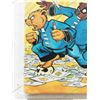Image 5 : MILDLY MICROWAVED PRE-PUBESCENT KUNG FU GOPHERS #1