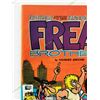 Image 2 : FABULOUS FURRY FREAK BROTHERS NO 2 RIP OFF