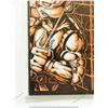 Image 5 : RAPHAEL #1 TEENAGE MUNTANT NINJA TURTLE 1985 1ST CASEY JONES