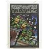 Image 1 : TEENAGE MUTANT NINJA TURTLES 2009 REPRINT VARIANT