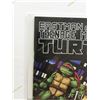 Image 2 : TEENAGE MUTANT NINJA TURTLES 2009 REPRINT VARIANT