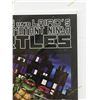 Image 3 : TEENAGE MUTANT NINJA TURTLES 2009 REPRINT VARIANT