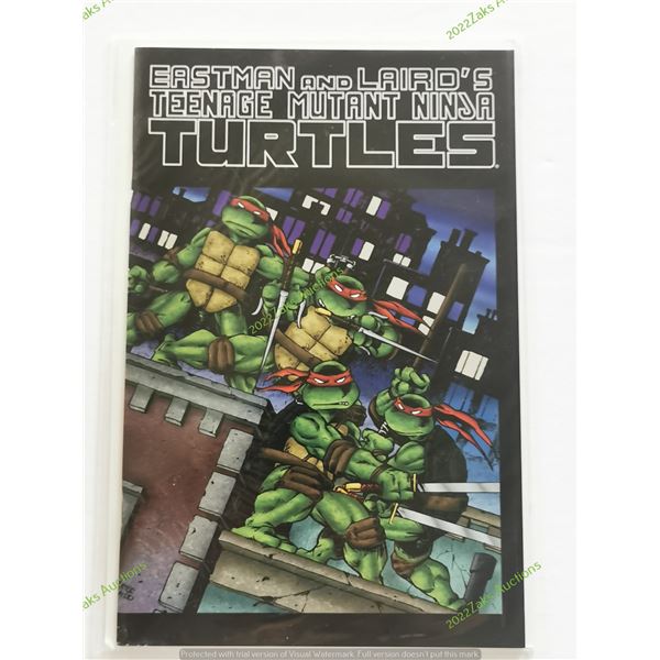 TEENAGE MUTANT NINJA TURTLES 2009 ERROR RECALL VARIANT